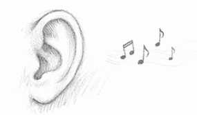 Animation structurelle